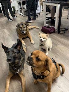 IMG 9157 e1564697901897 scaled 1