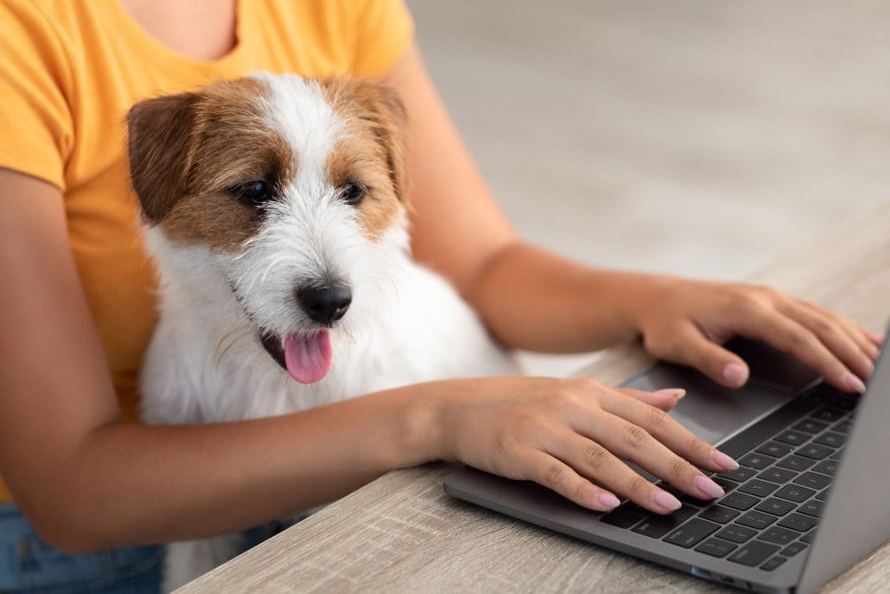 pet and animal care affiliate and performance marketing services (1)