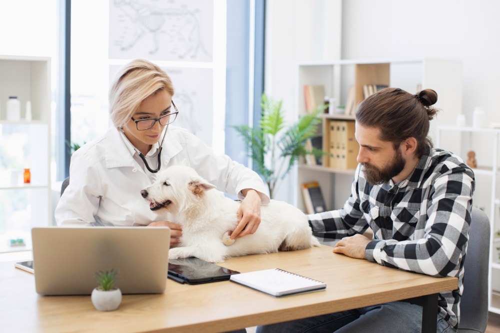 pet and animal care affiliate and performance marketing services
